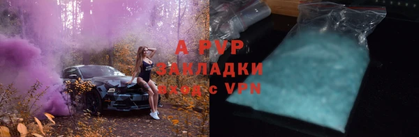 СК Алексин