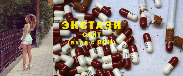 СК Алексин