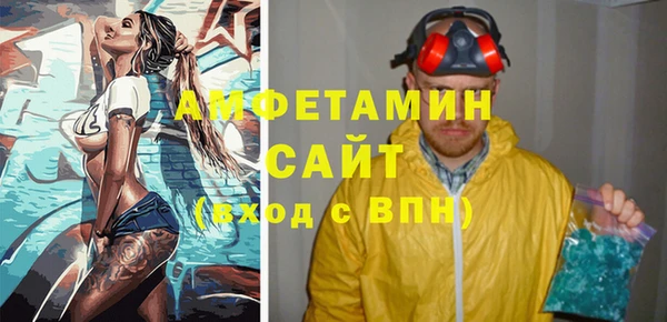 СК Алексин