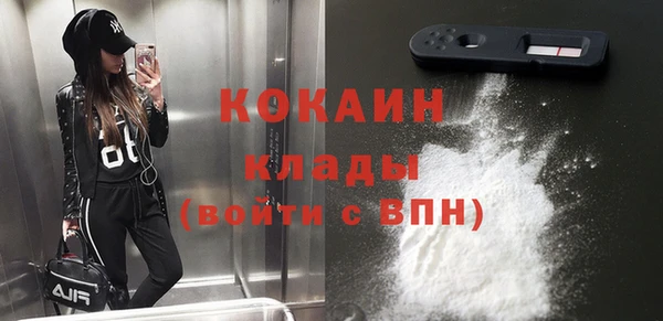 тгк Алзамай