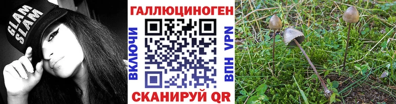 Галлюциногенные грибы GOLDEN TEACHER  Осинники 