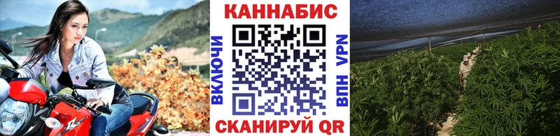 Конопля SATIVA & INDICA  Осинники 